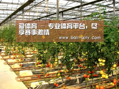 种植基地二