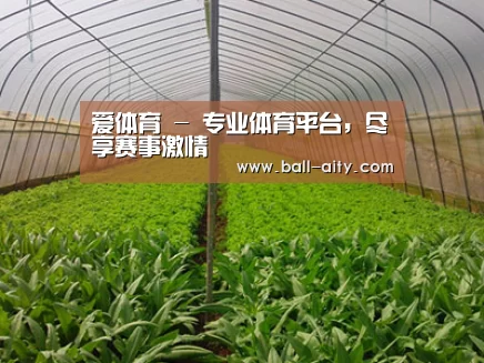 种植基地四